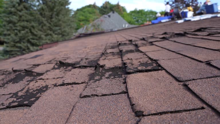 Best Emergency Roof Repair Services  in Southwood Acres, CT